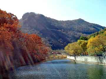 新澳天天开奖资料大全旅游团，祥云seo软件